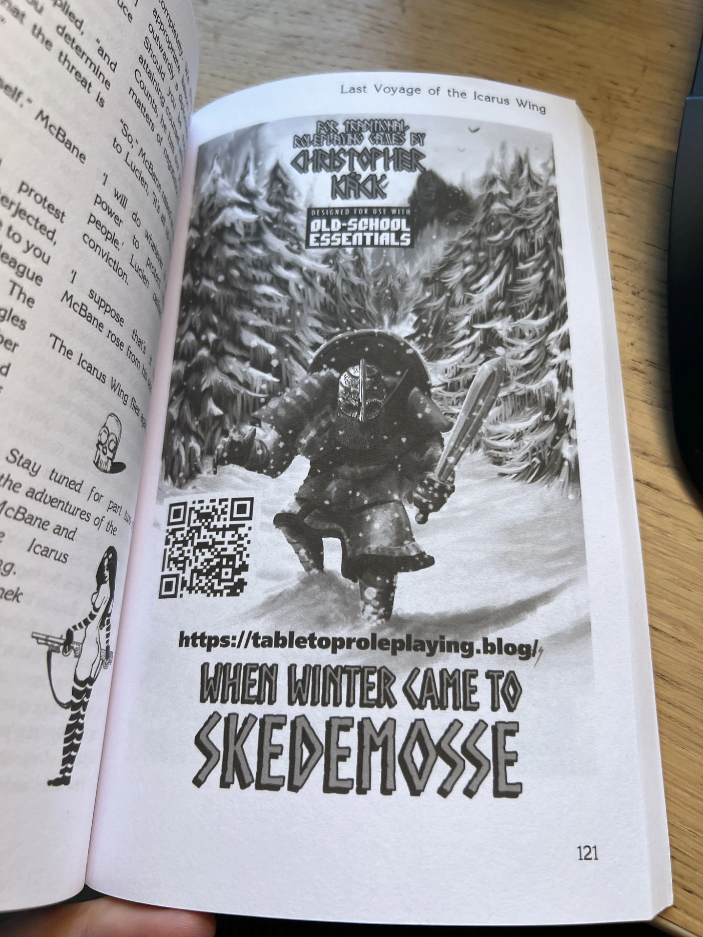 When Winter Came to Skedemosse